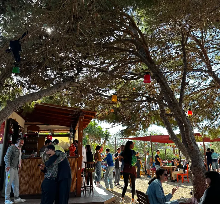 Rest nasce a Favignana